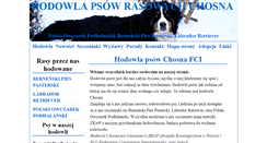 Desktop Screenshot of chosna.pl