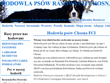 Tablet Screenshot of chosna.pl